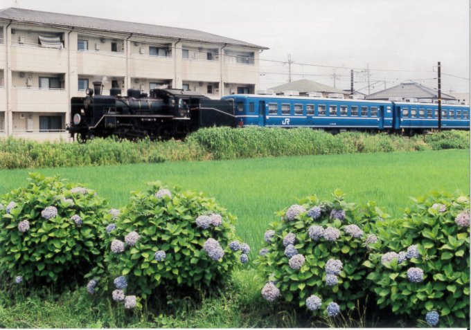 JR西日本 C56 160 (C56形) 車両ガイド | レイルラボ(RailLab)