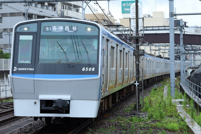 鉄道フォト・写真：相模鉄道 相鉄8000系電車 8513 西谷駅 鉄道フォト・写真 by 255_Be-05さん - 撮影日 2024/07/12 14:29