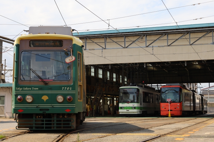 鉄道フォト・写真：東京都交通局7000形電車 7701 荒川車庫前停留場 鉄道フォト・写真 by ナハT17さん - 撮影日 2023/06/13 14:33