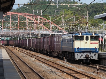 JR貨物 国鉄EF65形電気機関車 EF65 2091 鉄道フォト・写真 by tokadaさん 彦根駅 (JR)：2018年10月13日12時ごろ