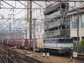 JR貨物 国鉄EF65形電気機関車 EF65 2094 鉄道フォト・写真 by tokadaさん 尼崎駅 (JR)：2018年10月16日09時ごろ