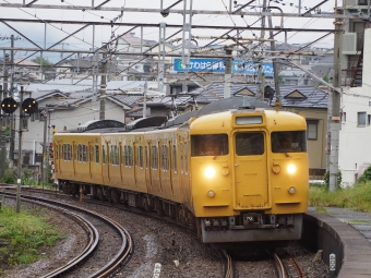 クハ115-2019 鉄道フォト・写真