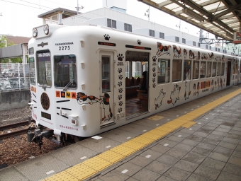 和歌山電鐵2270形電車 2275 鉄道フォト・写真 by tokadaさん 和歌山駅 (和歌山電鐵)：2011年08月27日11時ごろ