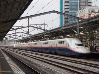 JR東日本 E453形(T1c) Maxとき(新幹線) E453-111 鉄道フォト・写真 by tokadaさん 高崎駅 (JR)：2019年06月28日17時ごろ