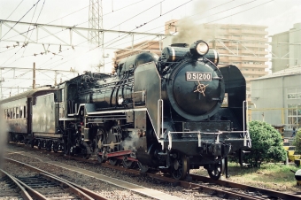 JR西日本 D51形 D51 200 鉄道フォト・写真 by tokadaさん ：1990年10月14日12時ごろ