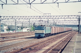 JR貨物 国鉄EF65形電気機関車 EF65 98 鉄道フォト・写真 by tokadaさん 草津駅 (滋賀県)：1991年04月28日09時ごろ