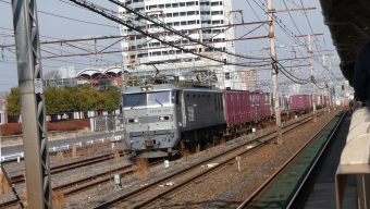 JR東日本 EF510形 EF510-509 鉄道フォト・写真 by さくら夙川さん 吹田駅 (JR)：2024年02月14日13時ごろ
