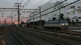 JR貨物 EF66-125 鉄道フォト・写真 by さくら夙川さん 吹田駅 (JR)：2024年01月17日17時ごろ