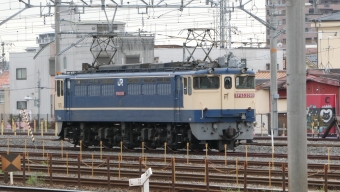 JR貨物 EF65-2090 鉄道フォト・写真 by さくら夙川 投稿頻度低下中さん 千里丘駅：2024年04月22日16時ごろ