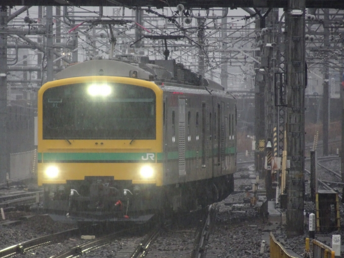 JR東日本 GV-E197系 GV-E197-1 鉄道フォト・写真 by ゴッパーサンさん ：2024年03月26日15時ごろ