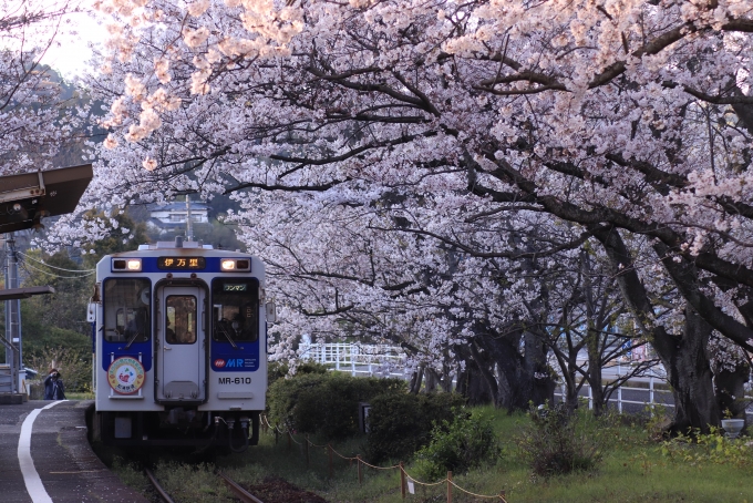 松浦鉄道mr 600形気動車 Mr 610 浦ノ崎駅 鉄道フォト 写真 By こじこじさん レイルラボ Raillab