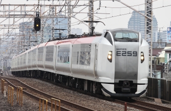 JR東日本 E259系 鉄道フォト・写真 by スーパー金太郎さん 小岩駅：2024年04月06日09時ごろ