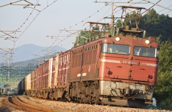 JR貨物 国鉄EF81形電気機関車 EF81-406 鉄道フォト・写真 by スーパー金太郎さん 北条駅：2012年08月24日06時ごろ