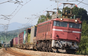 JR貨物 国鉄EF81形電気機関車 EF81-746 鉄道フォト・写真 by スーパー金太郎さん 北条駅：2012年08月24日07時ごろ