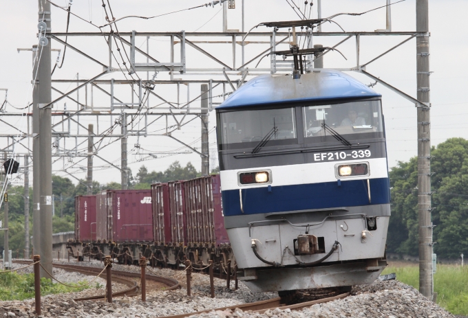 JR貨物 EF210形 EF210-339 鉄道フォト・写真 by スーパー金太郎さん 本庄駅：2024年05月26日10時ごろ