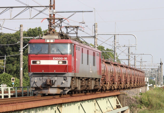 鉄道フォト・写真：JR貨物EH500形電気機関車 EH500-16 本庄駅 鉄道フォト・写真 by スーパー金太郎さん - 撮影日 2024/06/06 16:30