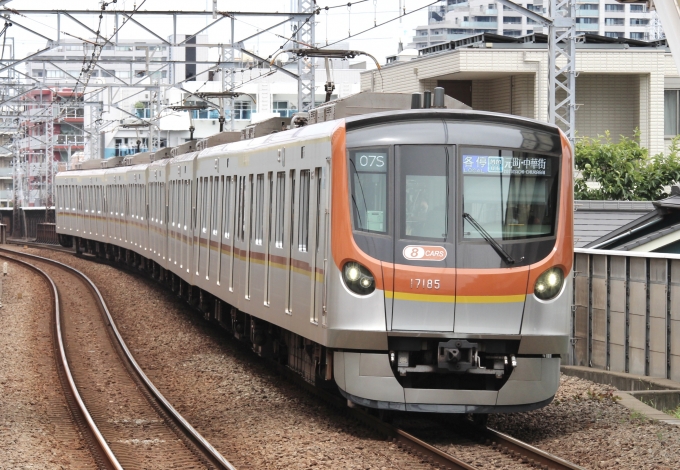 鉄道フォト・写真：東京メトロ17000系電車  17185 綱島駅 鉄道フォト・写真 by スーパー金太郎さん - 撮影日 2024/06/30 13:37