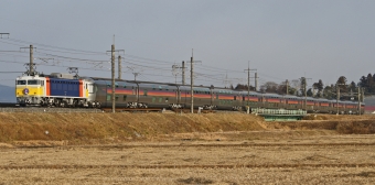 JR東日本 国鉄EF81形電気機関車 カシオペア(特急) EF81-99 鉄道フォト・写真 by スーパー金太郎さん 片岡駅：2010年01月17日08時ごろ