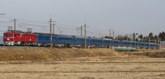 JR東日本 国鉄EF81形電気機関車 北斗星(特急) EF81-86 鉄道フォト・写真 by スーパー金太郎さん 片岡駅：2010年01月17日09時ごろ