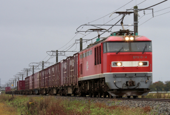 EF510 2両付属 コキ20両 4060 4061レ貨物列車一式 EF510 2両付属 コキ20両 4060 4061レ貨物列車一式 EF510 2両付属 コキ
