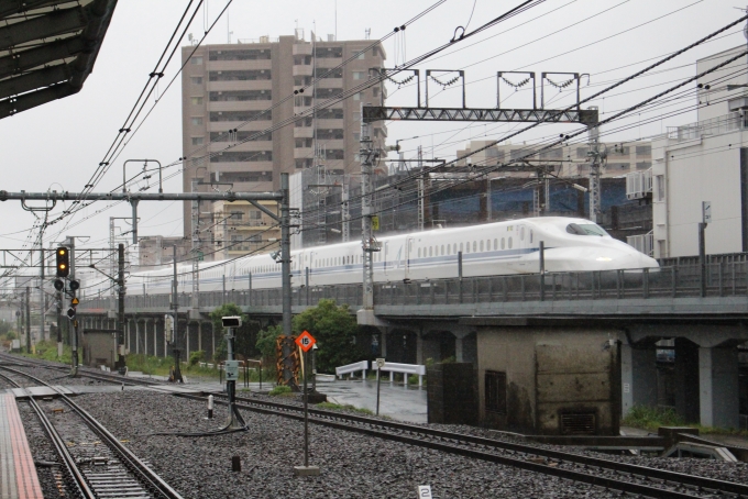 JR東海 N700系新幹線電車 鉄道フォト・写真 by ヒヨドリさん 武蔵小杉駅 (JR)：2023年05月07日15時ごろ