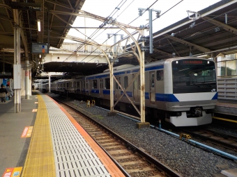 JR東日本 クハE530形 クハE530-24 鉄道フォト・写真 by ヒヨドリさん 上野駅 (JR)：2023年03月31日10時ごろ