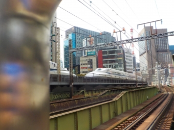 JR東海 N700系新幹線電車 鉄道フォト・写真 by ヒヨドリさん 有楽町駅 (JR)：2023年03月31日10時ごろ
