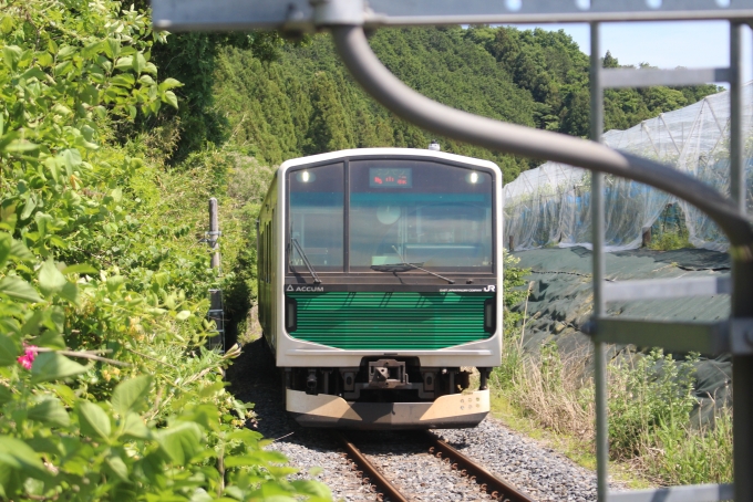 JR東日本 EV-E300形 EV-E300-1 鉄道フォト・写真 by ヒヨドリさん 滝駅 (栃木県)：2024年05月25日13時ごろ