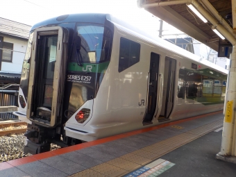 JR東日本E257系電車 鉄道フォト・写真 by ヒヨドリさん 鎌倉駅 (JR)：2022年12月04日09時ごろ