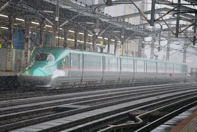 E5系新幹線 U28編成 (新幹線総合車両センター) 徹底ガイド