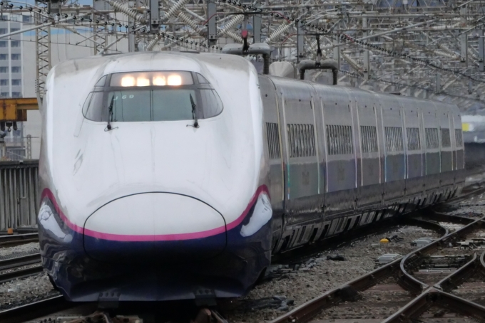 鉄道フォト・写真：JR東日本 E2系新幹線電車 Magical dream shinkansen 高崎駅 (JR) 鉄道フォト・写真 by -M-K-さん - 撮影日 2024/03/28 07:30
