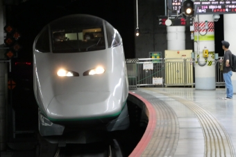 JR東日本 E3系新幹線 つばさ(新幹線) 鉄道フォト・写真 by -M-K-さん 上野駅 (JR)：2024年04月30日12時ごろ