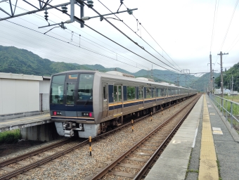 JR西日本 207系 鉄道フォト・写真 by scratch-aferwuさん 南矢代駅：2024年05月15日11時ごろ