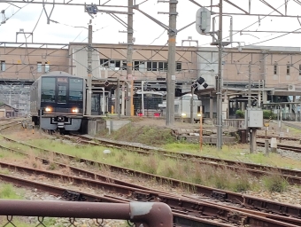 JR西日本 207系 鉄道フォト・写真 by scratch-aferwuさん 篠山口駅：2024年03月13日17時ごろ