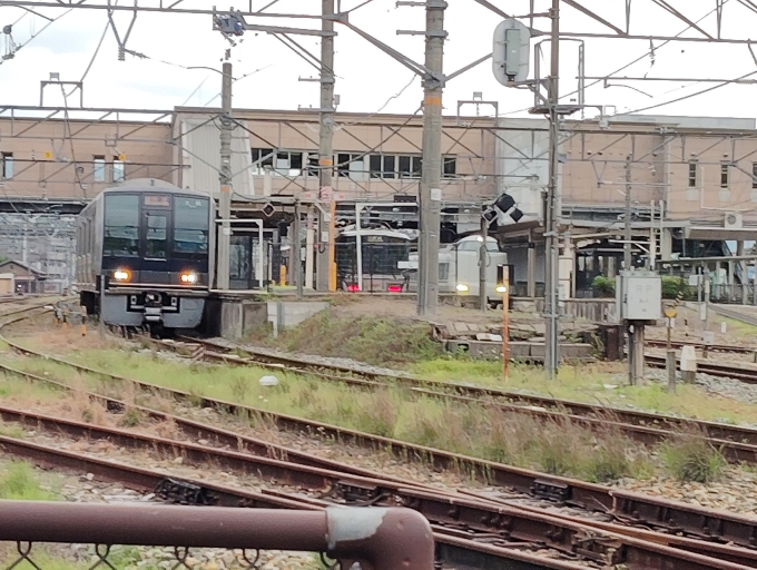 鉄道フォト・写真：JR西日本 207系 篠山口駅 鉄道フォト・写真 by scratch-aferwuさん - 撮影日 2024/03/13 17:00