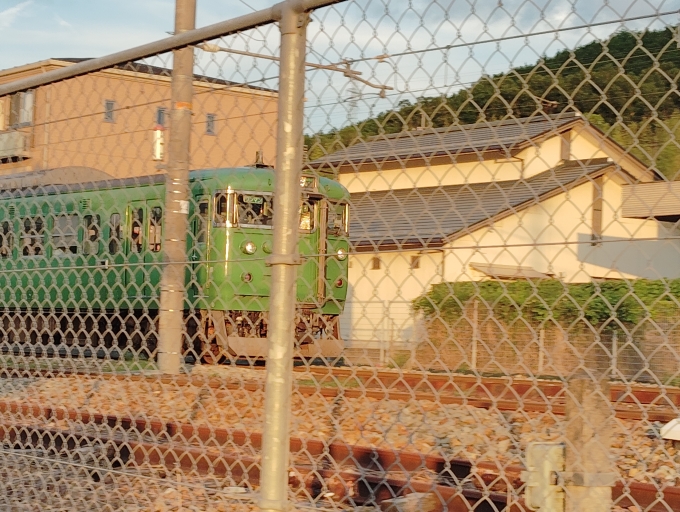 鉄道フォト・写真：JR西日本 113系 石原駅 (京都府) 鉄道フォト・写真 by scratch-aferwuさん - 撮影日 2024/08/09 18:28