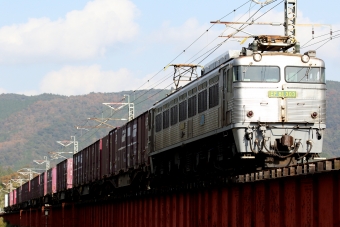 JR貨物 EF81-303 鉄道フォト・写真 by express999さん 日向長井駅：2018年12月01日12時ごろ