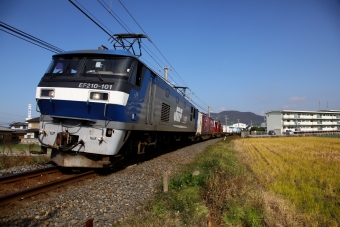 JR貨物EF210形電気機関車 101 鉄道フォト・写真 by express999さん 観音寺駅 (香川県)：2021年11月18日12時ごろ