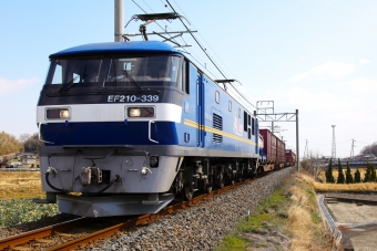 JR貨物EF210形電気機関車 EF210-339 鉄道フォト・写真 by express999さん 海岸寺駅：2022年03月06日11時ごろ