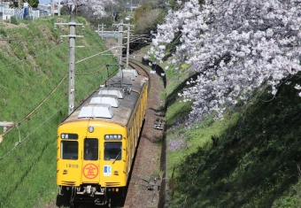 高松琴平電気鉄道 1205 鉄道フォト・写真 by express999さん 挿頭丘駅：2022年04月01日14時ごろ