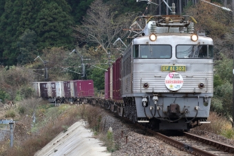 JR貨物 EF81 EF81-303 鉄道フォト・写真 by express999さん 直川駅：2019年12月16日11時ごろ