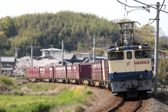 JR貨物 EF65 EF65-2091 鉄道フォト・写真 by express999さん みの駅：2020年04月09日14時ごろ