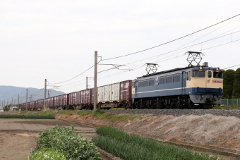 JR貨物 EF65 EF65-2091 鉄道フォト・写真 by express999さん 豊浜駅：2020年04月19日15時ごろ