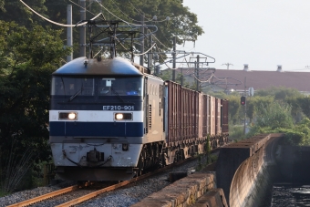 JR貨物EF210形電気機関車 ef210-901 鉄道フォト・写真 by express999さん 詫間駅：2020年08月21日17時ごろ