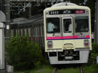 京王電鉄 京王クハ7750形 7777 鉄道フォト・写真 by 京王8000系愛好家さん 府中競馬正門前駅：2024年05月26日16時ごろ