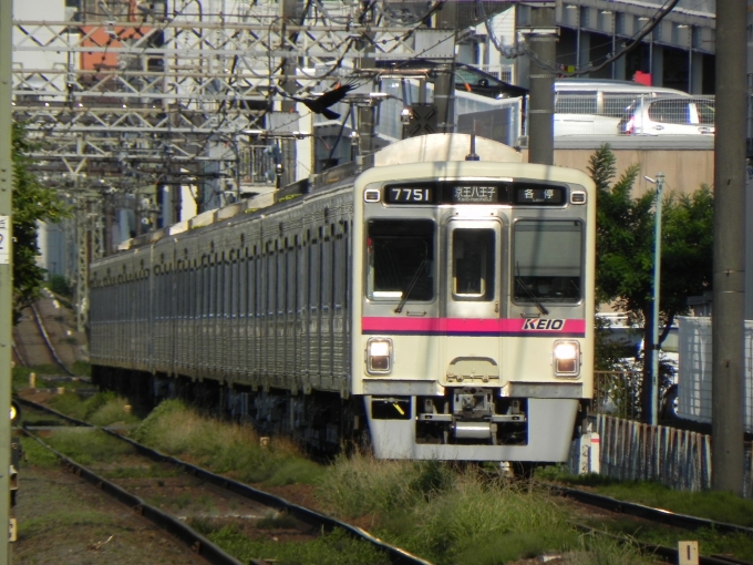 鉄道フォト・写真：京王電鉄 京王7000系電車 7751 聖蹟桜ヶ丘駅 鉄道フォト・写真 by 京王8000系愛好家さん - 撮影日 2024/06/14 16:55