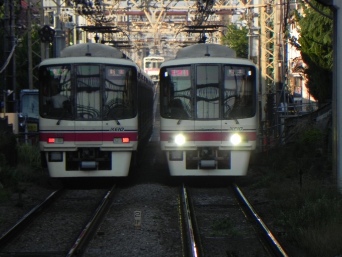 鉄道フォト・写真：京王電鉄 京王8000系電車 8757 仙川駅 鉄道フォト・写真 by 京王8000系愛好家さん - 撮影日 2024/06/19 17:43