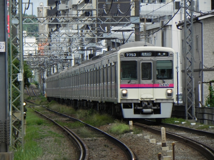 鉄道フォト・写真：京王電鉄 京王7000系電車 7753 聖蹟桜ヶ丘駅 鉄道フォト・写真 by 京王8000系愛好家さん - 撮影日 2024/06/29 14:44