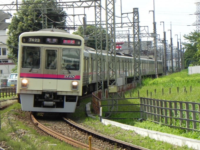 鉄道フォト・写真：京王電鉄 京王7000系電車 7423 聖蹟桜ヶ丘駅 鉄道フォト・写真 by 京王8000系愛好家さん - 撮影日 2024/06/29 15:21