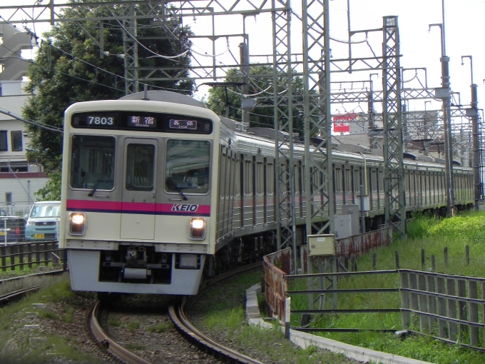 鉄道フォト・写真：京王電鉄 京王7000系電車 7803 聖蹟桜ヶ丘駅 鉄道フォト・写真 by 京王8000系愛好家さん - 撮影日 2024/06/29 15:47